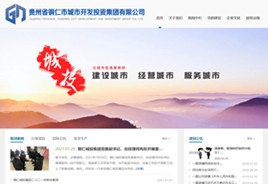 大英城市开发投资集团有限公司